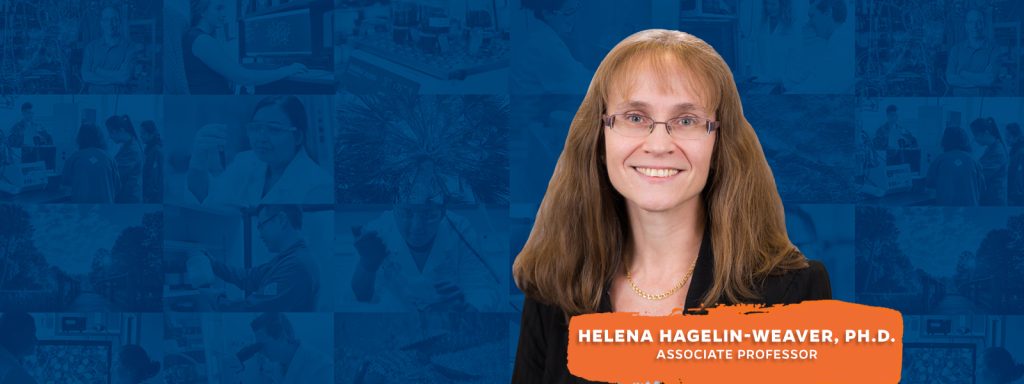 Helena Hagelin-Weaver, Ph.D.