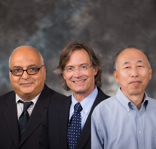 UF Term Professors 2018