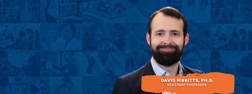 David Hibbitts, Ph.D.