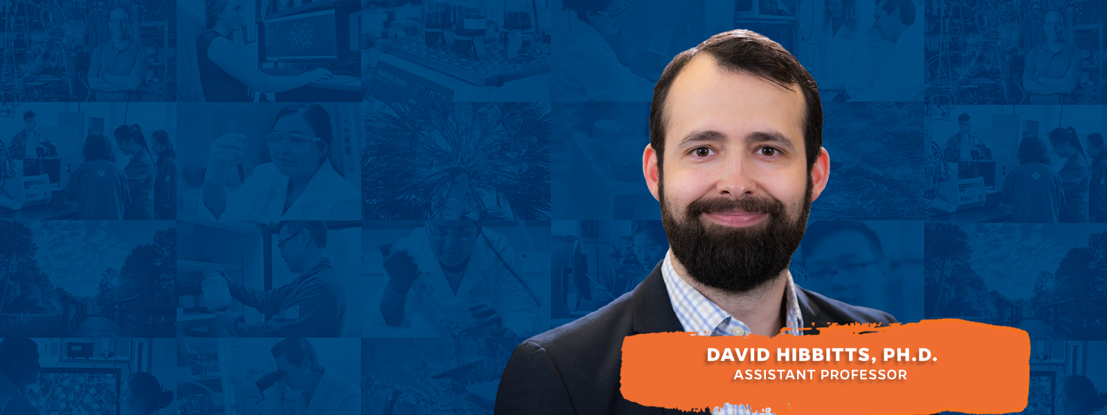 David Hibbitts, Ph.D.