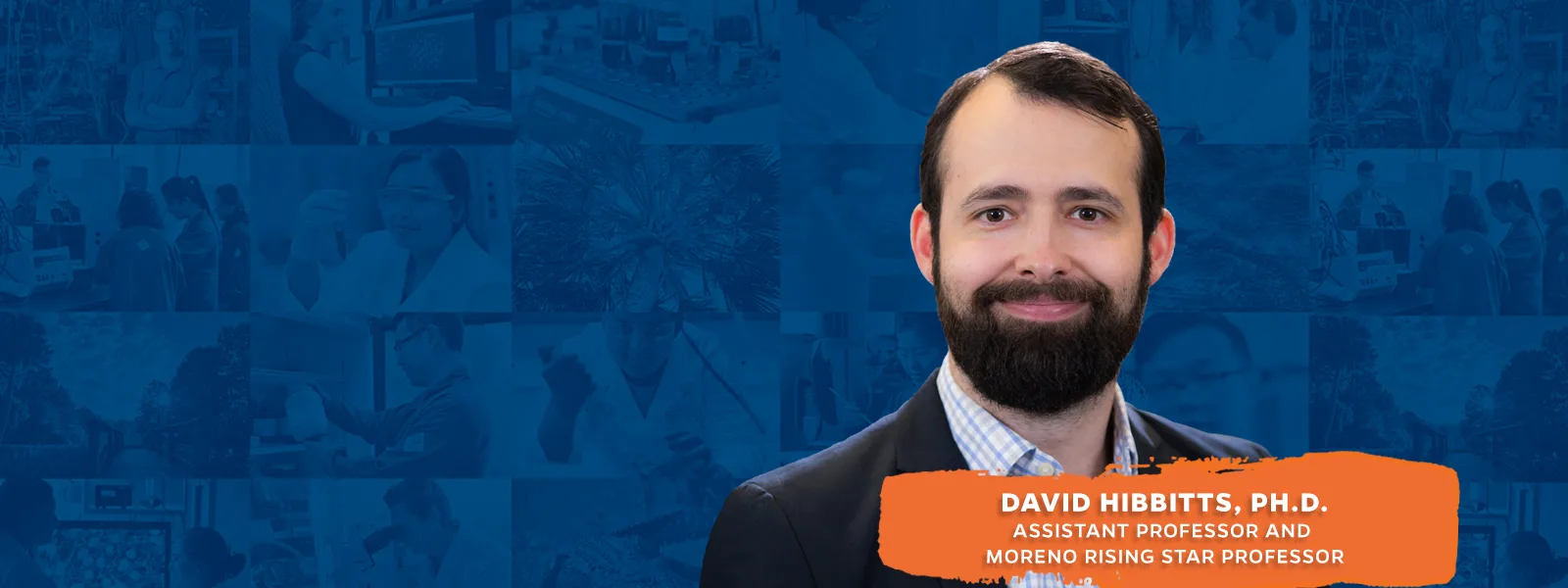 David Hibbitts, Ph.D.