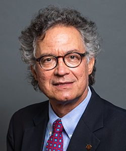 Mark E. Orazem, Ph.D.