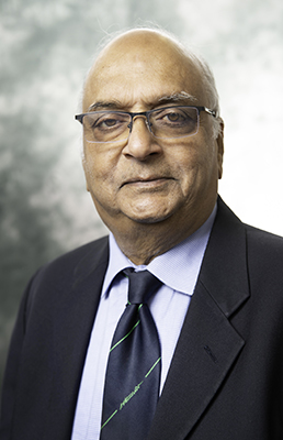 Image of Ranga Narayanan